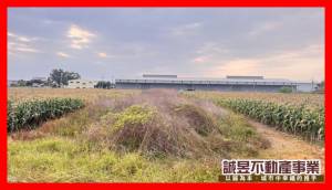 誠昱/海寮前後臨路方正農地