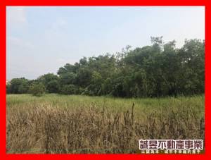 誠昱/左鎮休閒生活農建地