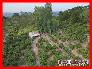 誠昱/居高臨下玉井夜景農.