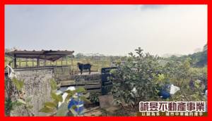 誠昱/關廟咬狗溪休閒農地